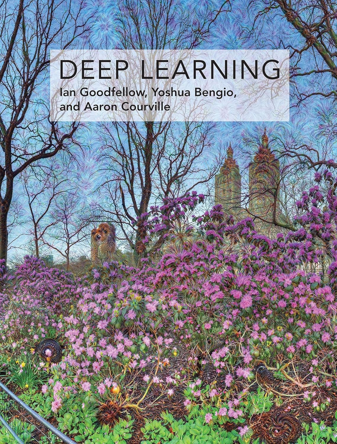 Deep Learning (Adaptive Comput